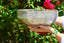7 Wick XL Mercury Candle Bowl in Welcome Home Scent
