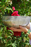 7 Wick XL Mercury Candle Bowl in Welcome Home Scent