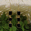 The Onyx Nightfall Earrings
