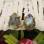 Labradorite Teardrop Studs