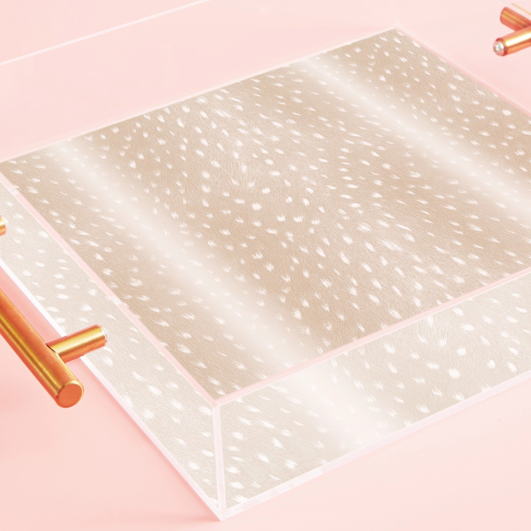 Roam Home Acrylic Tray - Thumbnail 4